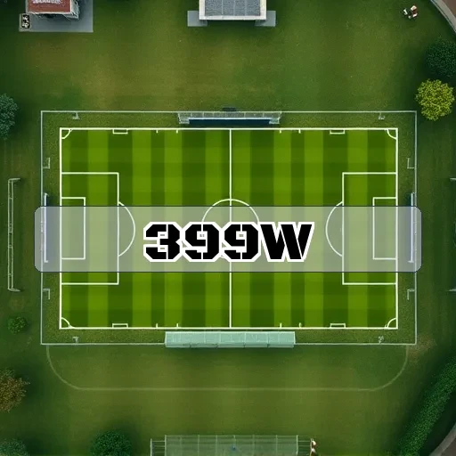 399w.com: Promoções Imperdíveis que Você Não Pode Deixar de Conferir